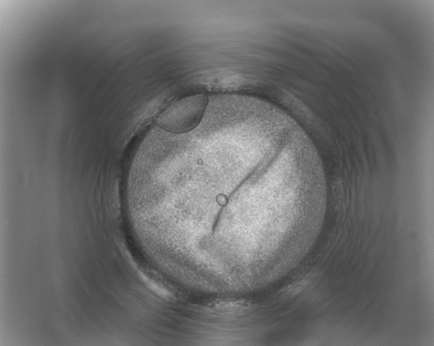 X0000066950638200604142050