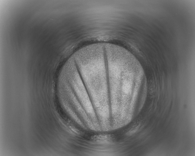 X0000066950639200604142050