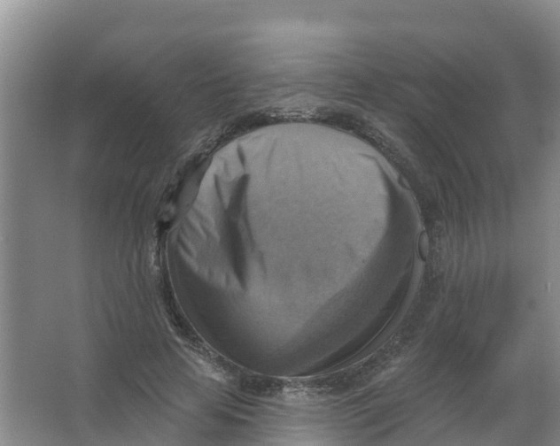 X0000066950641200604142050