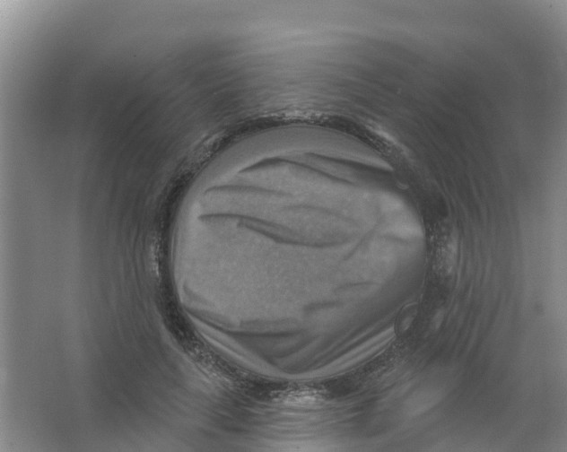 X0000066950643200604142050