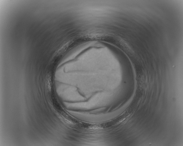 X0000066950644200604142050