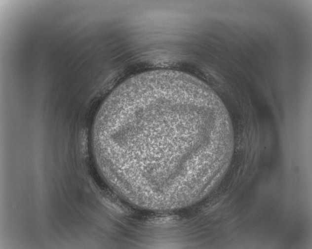 X0000066950646200604142050