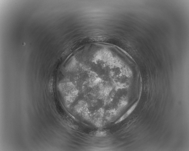 X0000066950647200604142050