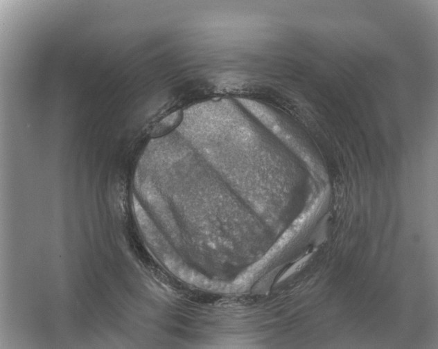 X0000066950648200604142050