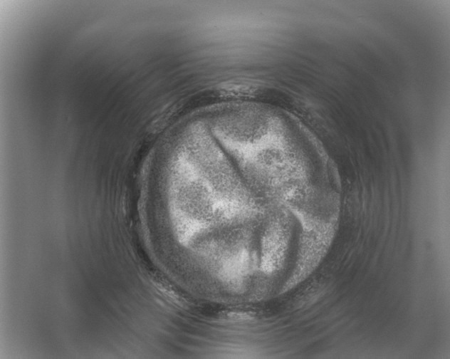 X0000066950649200604142050