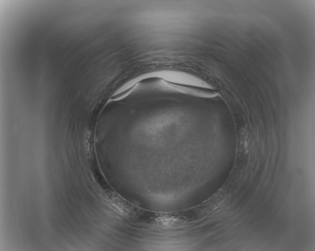 X0000066950650200604142050