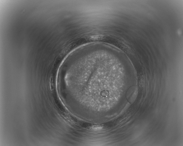 X0000066950651200604142050