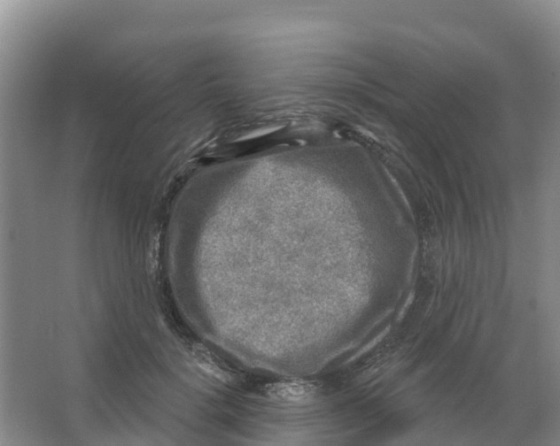 X0000066950652200604142050