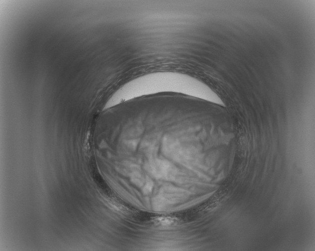 X0000066950654200604142050