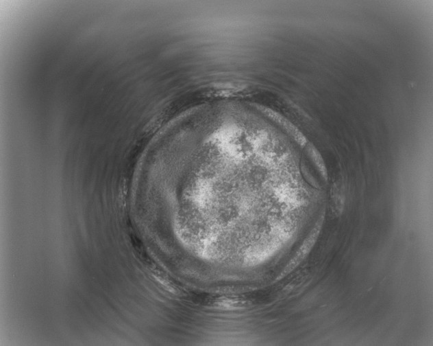 X0000066950657200604142050