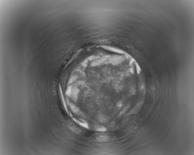 X0000066950658200604142051