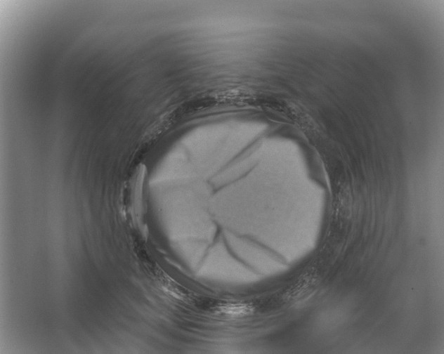 X0000066950659200604142051