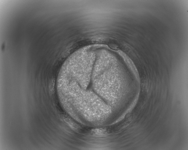 X0000066950660200604142051