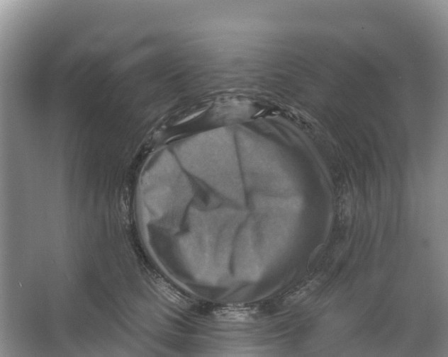 X0000066950661200604142051