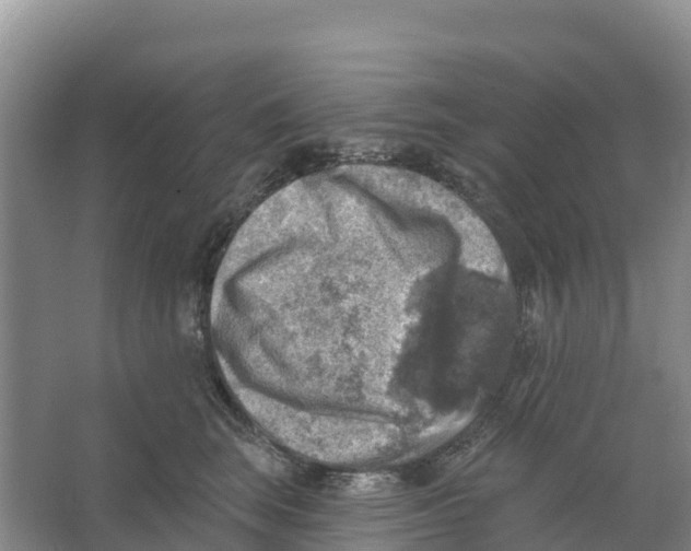 X0000066950663200604142051