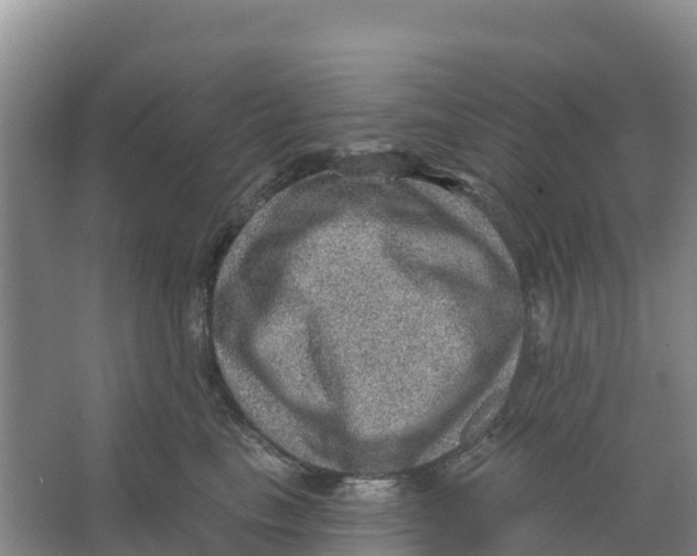 X0000066950665200604142051