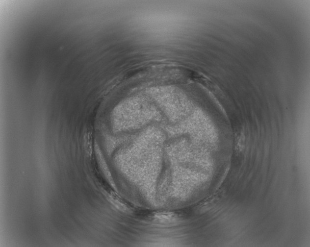 X0000066950666200604142051