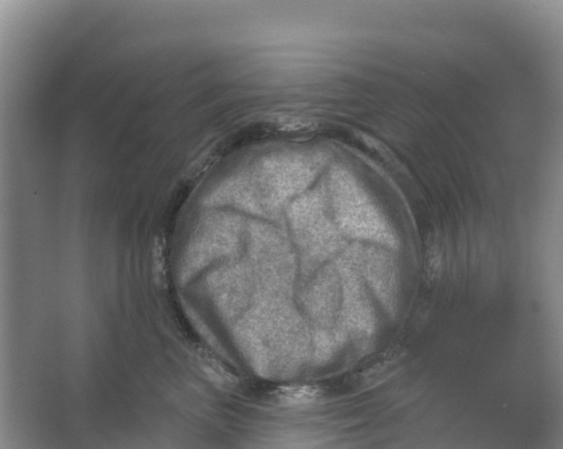 X0000066950667200604142051