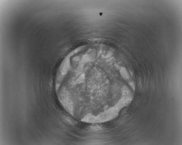 X0000066950668200604142051