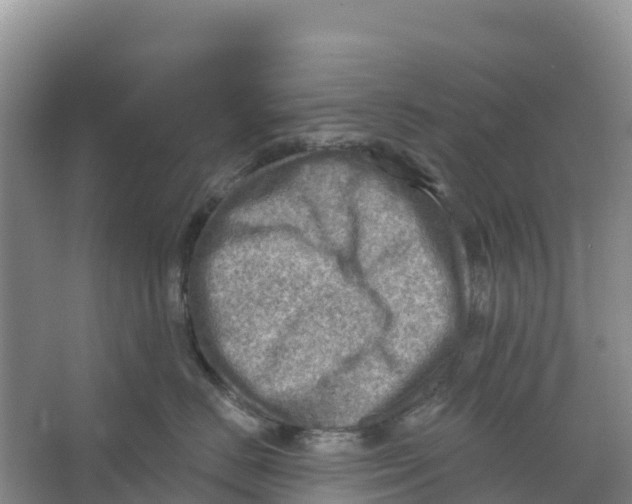 X0000066950670200604142051