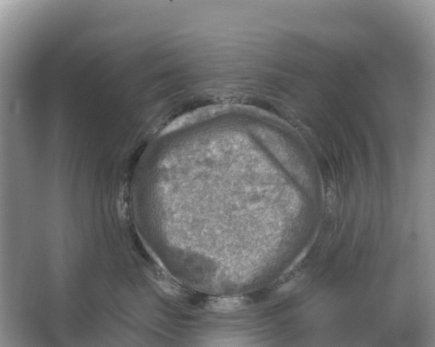 X0000066950671200604142051