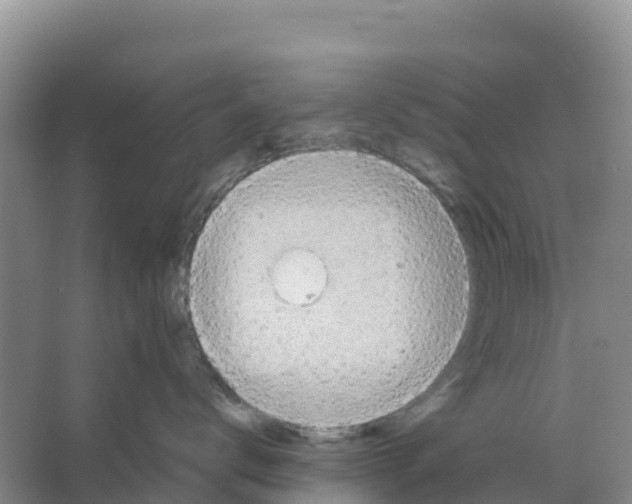 X0000066950672200604142051