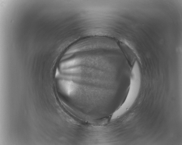 X0000066950673200604142050