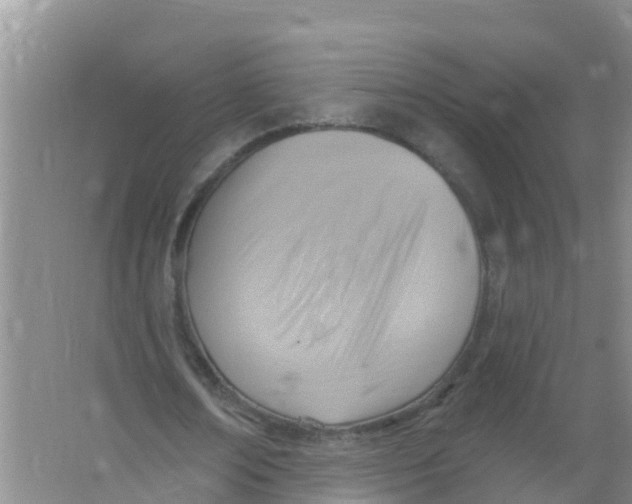 X0000066950674200604142050