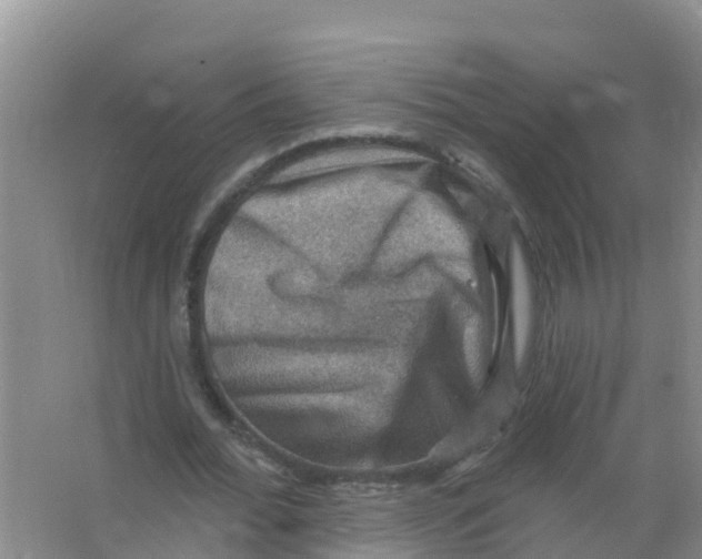 X0000066950676200604142050