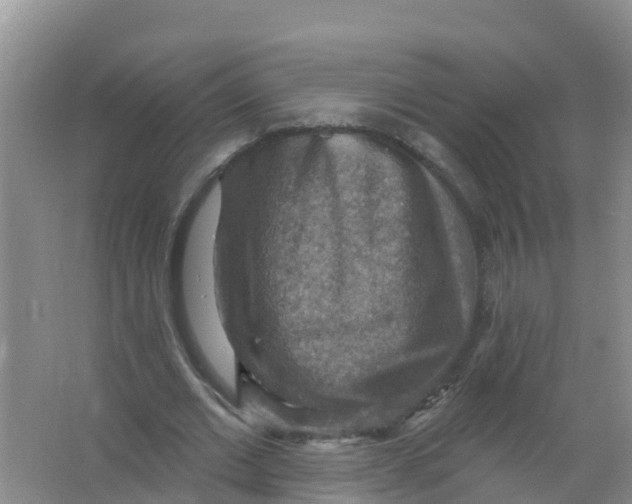 X0000066950677200604142050