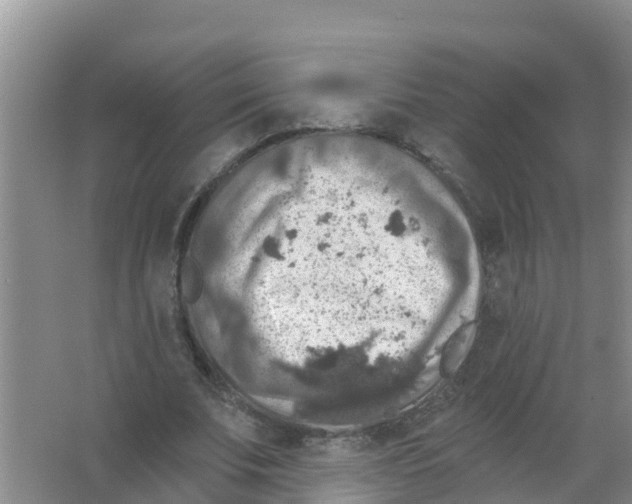 X0000066950679200604142050