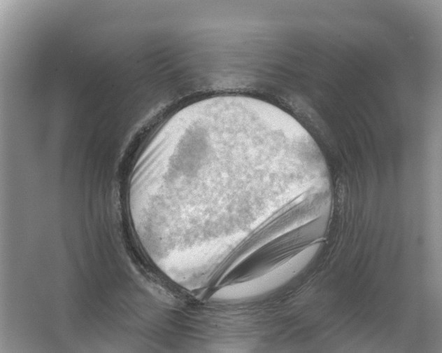 X0000066950684200604142050