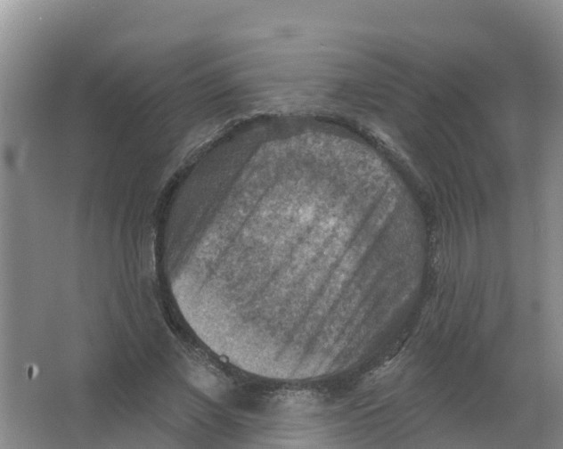 X0000066950685200604142050