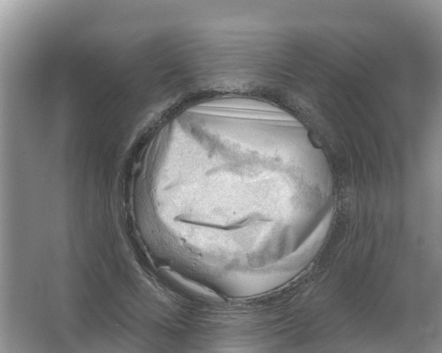 X0000066950688200604142050