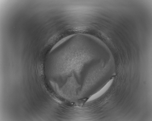 X0000066950689200604142050