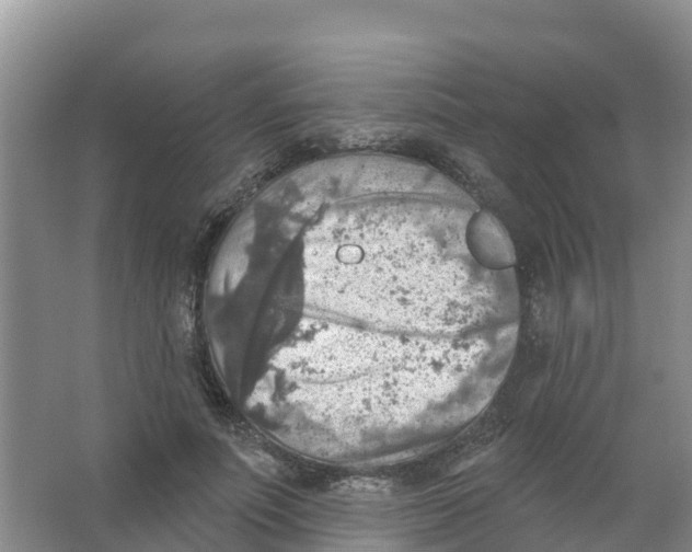 X0000066950691200604142050