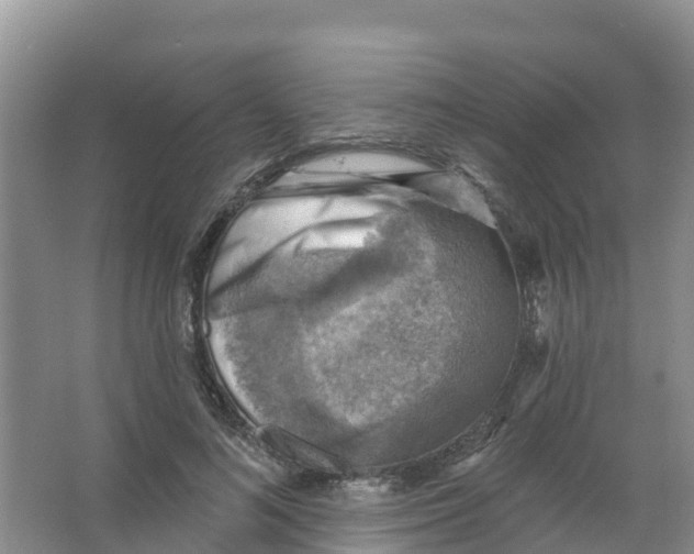 X0000066950692200604142050