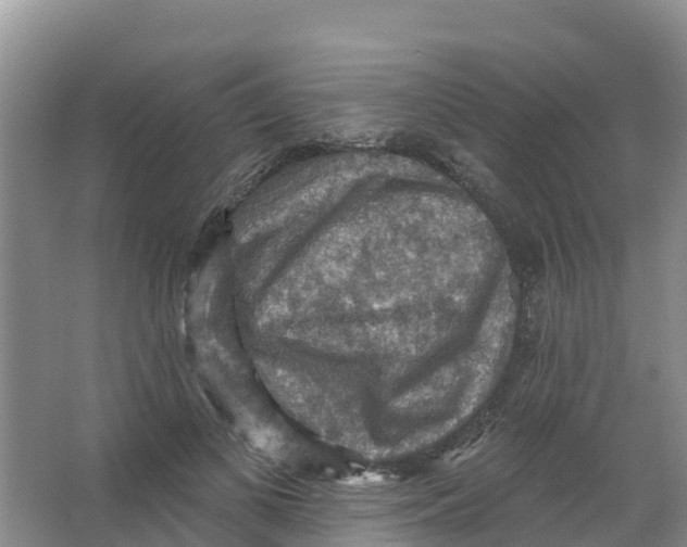 X0000066950693200604142050