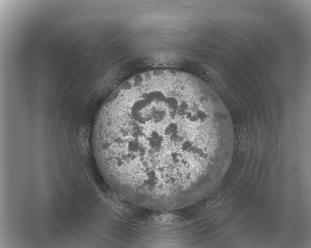 X0000066950695200604142050