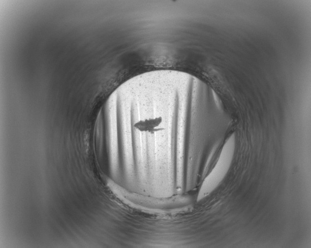 X0000066950697200604142050