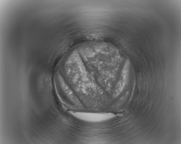 X0000066950699200604142049