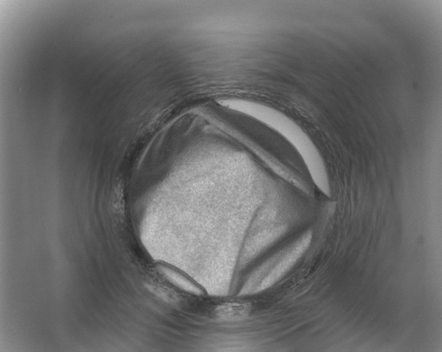 X0000066950700200604142049