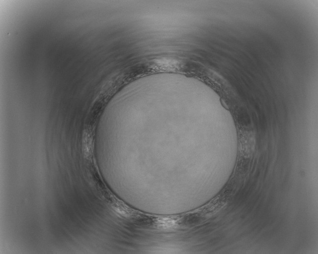 X0000066950701200604142049