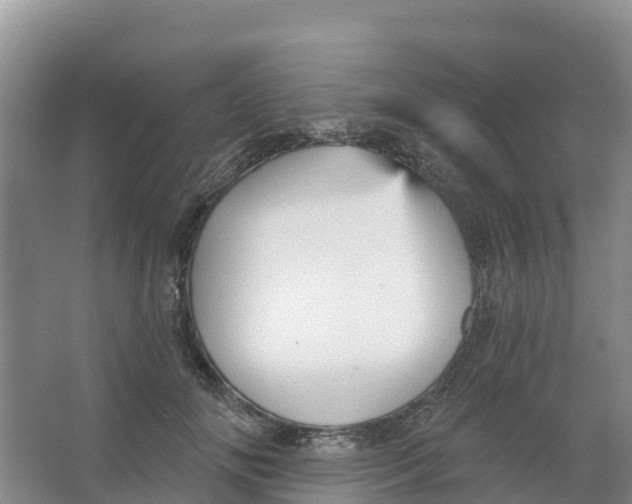 X0000066950702200604142049