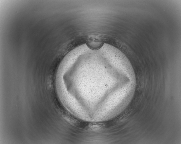 X0000066950706200604142049