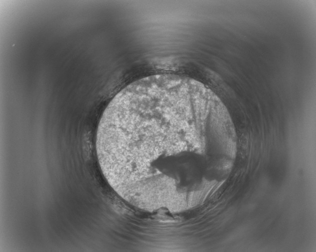 X0000066950707200604142049