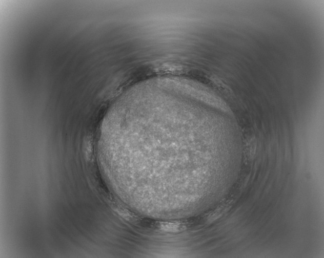 X0000066950709200604142049