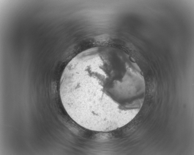 X0000066950711200604142049