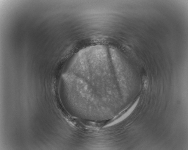 X0000066950712200604142049