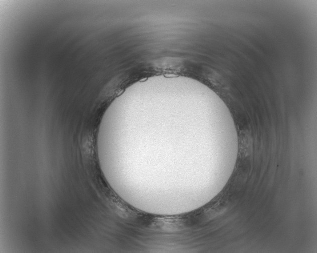 X0000066950713200604142049